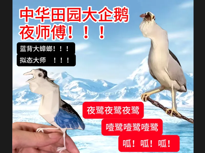 夜鹭噎鹭 夜师傅拟态之俄罗斯方块形态