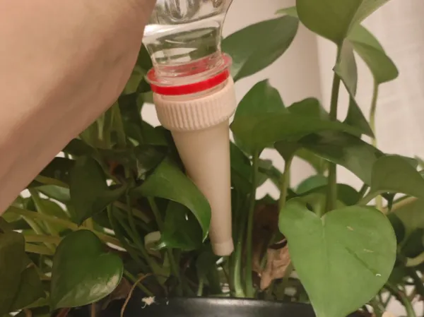 https://makerworld.bblmw.com/makerworld/model/US3768aefa00f26a/design/2025-07-24_cd25458ee9231.jpg