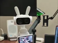 一体版本
