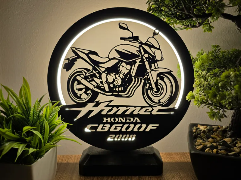 Ring LED Lamp - Honda Hornet CB600F - 2008