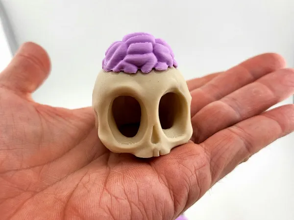 https://makerworld.bblmw.com/makerworld/model/US3776b168984551/design/2025-02-20_a0b069d67415d.jpg