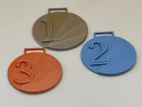 https://makerworld.bblmw.com/makerworld/model/US3778571d543f98/design/2023-12-20_ec9204d4c80318.jpeg
