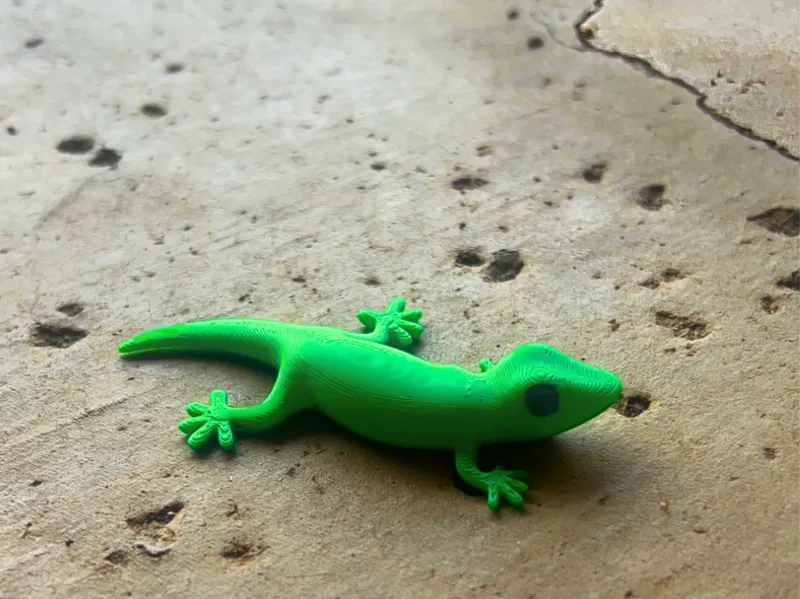 Gecko/Lizard! - 1 hour