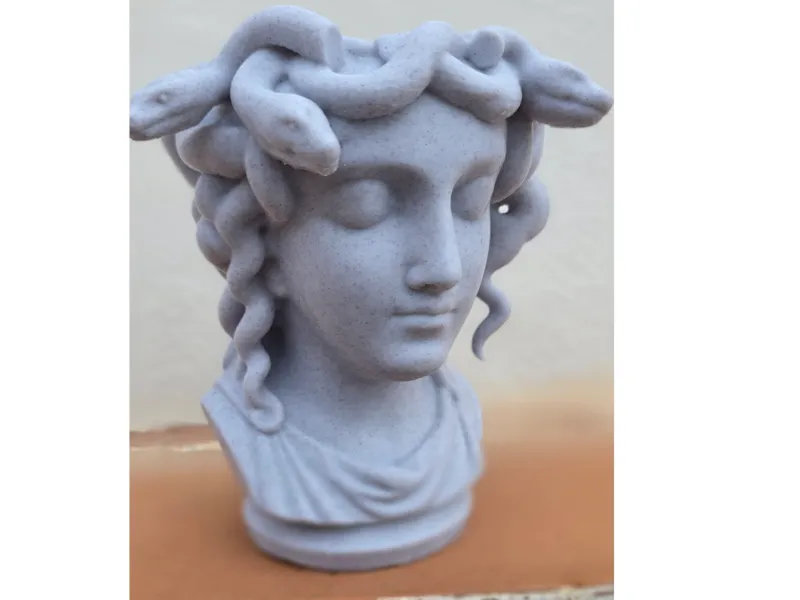 Maceta de Medusa