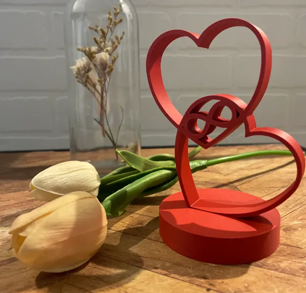 https://makerworld.bblmw.com/makerworld/model/US377d7af5da6cf4/design/2025-01-19_3faf37b040c47.jpeg