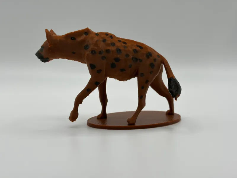 Spotted Hyena - African Predator