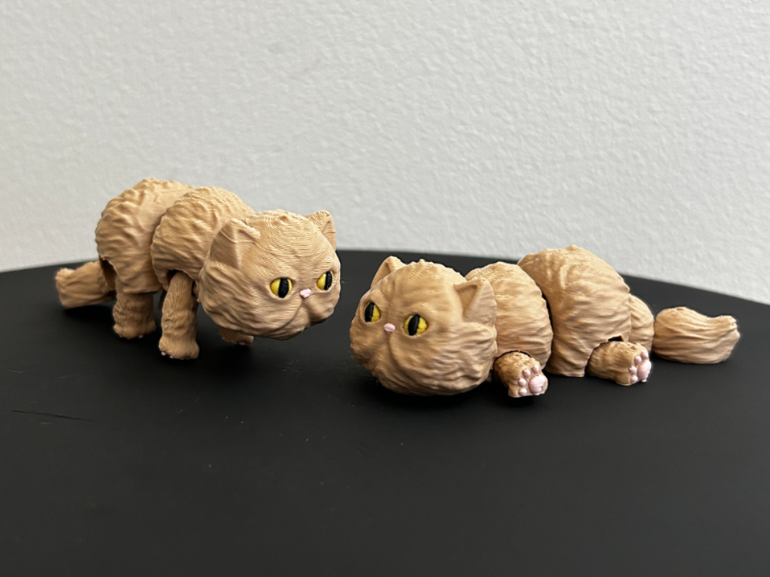 Flexi Standing Cat