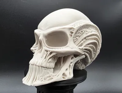 Skeletal Alien Head
