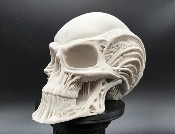 https://makerworld.bblmw.com/makerworld/model/US37880e4e18c5fc/design/2025-09-02_t5u79ki0bzrd.jpg