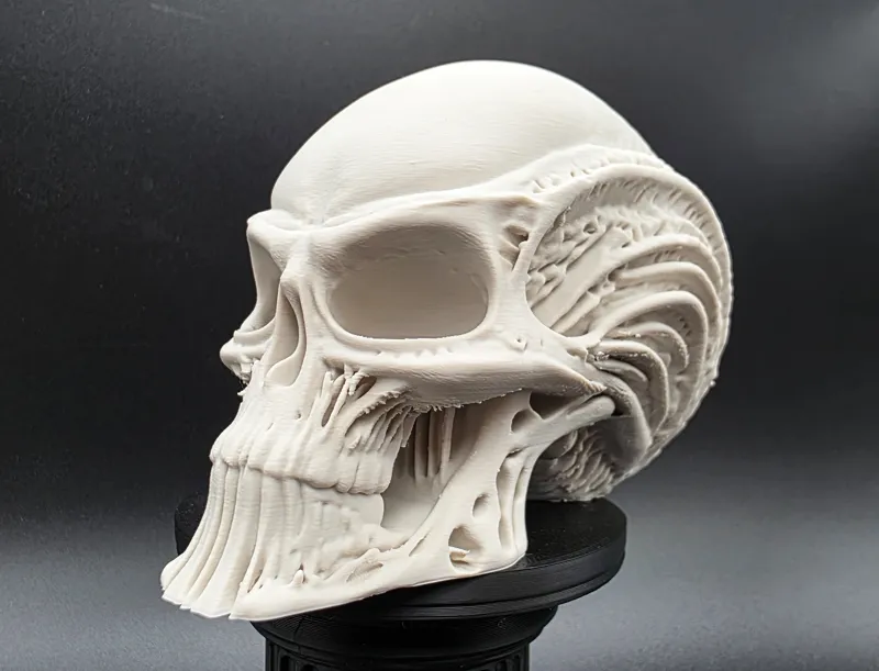 Skeletal Alien Head