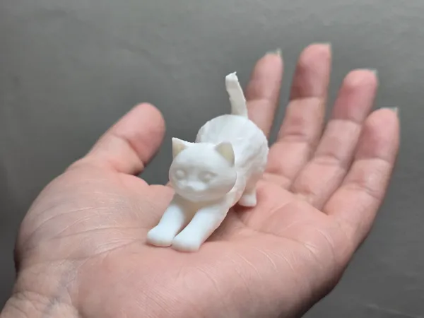 https://makerworld.bblmw.com/makerworld/model/US3788fadc8de1ce/design/2025-02-23_12a36fd562f39.jpg