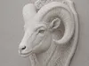 Bighorn sheep