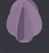1 Egg single color WITH brim