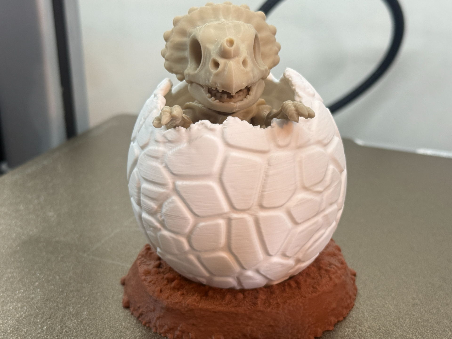 Baby Protoceratops Skeleton in Egg & Nest 