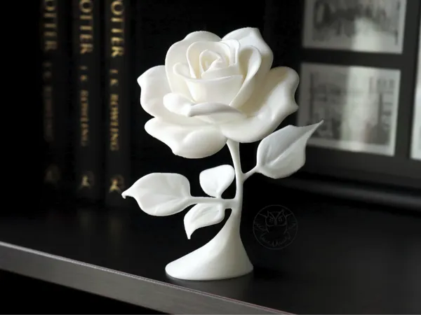 https://makerworld.bblmw.com/makerworld/model/US379be76a683d39/design/2025-05-14_1f953581900328.jpg