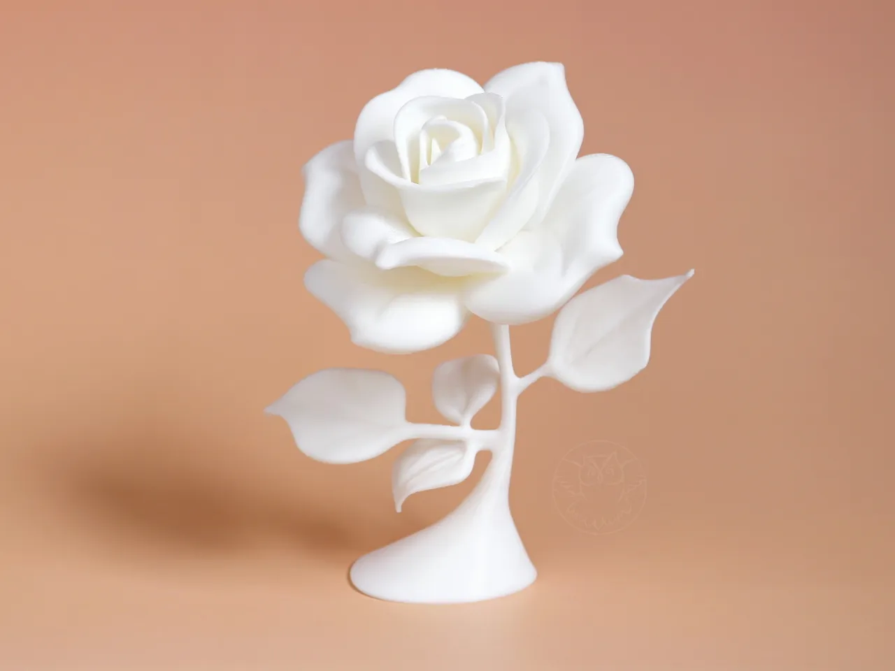 Rose view 4