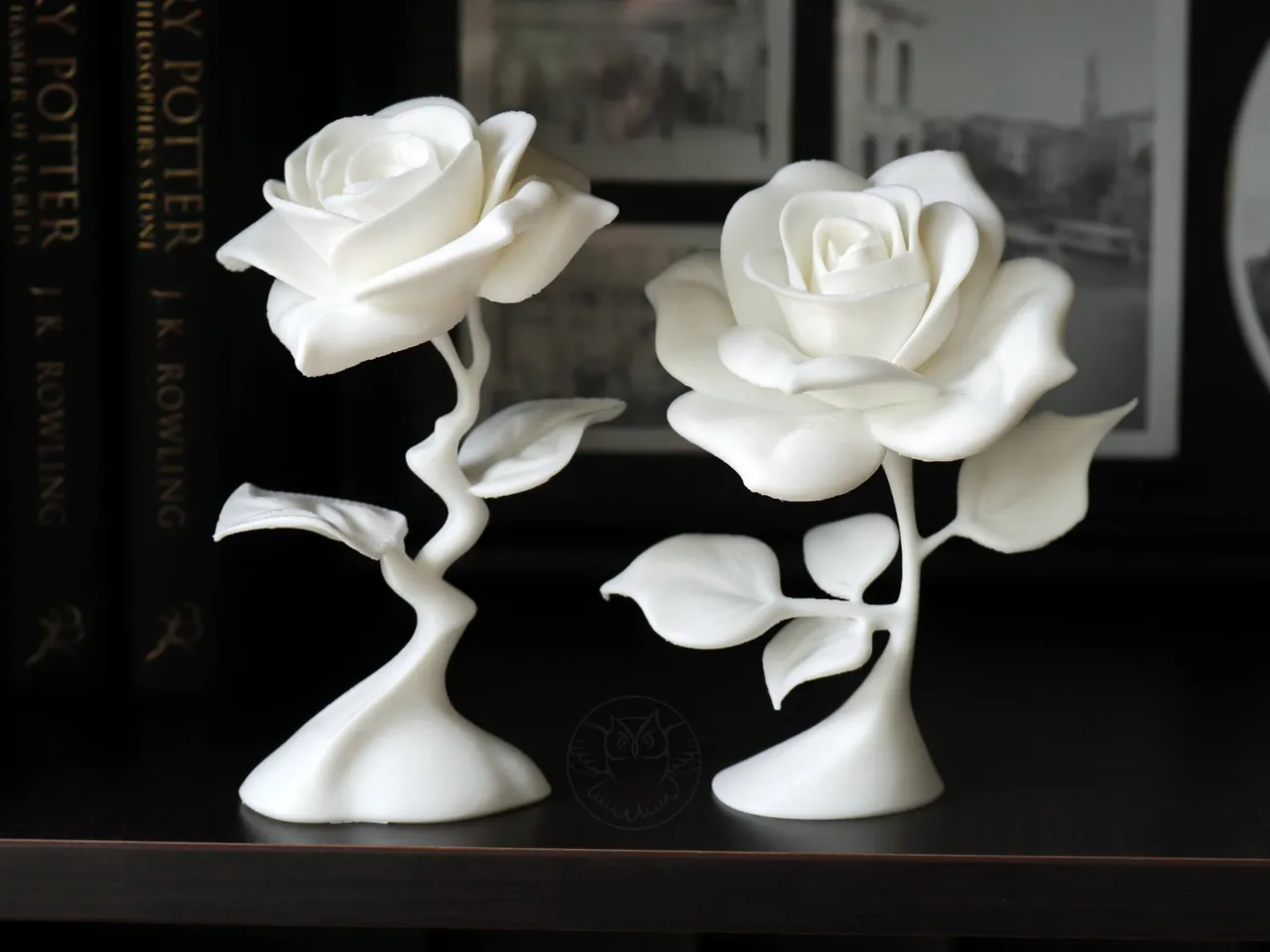 Rose view 2