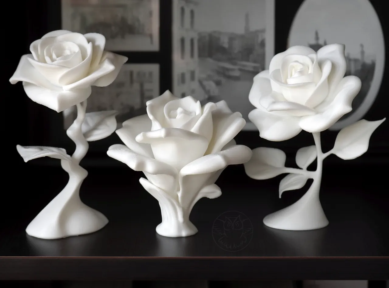 Rose view 3