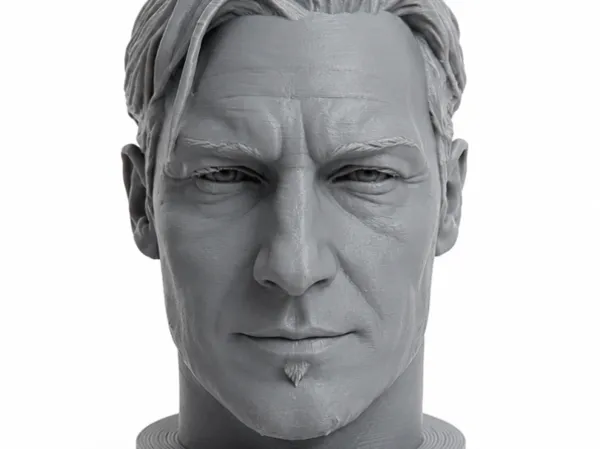 https://makerworld.bblmw.com/makerworld/model/US37a39bd6a099d5/design/412db2d896eacdbe.png