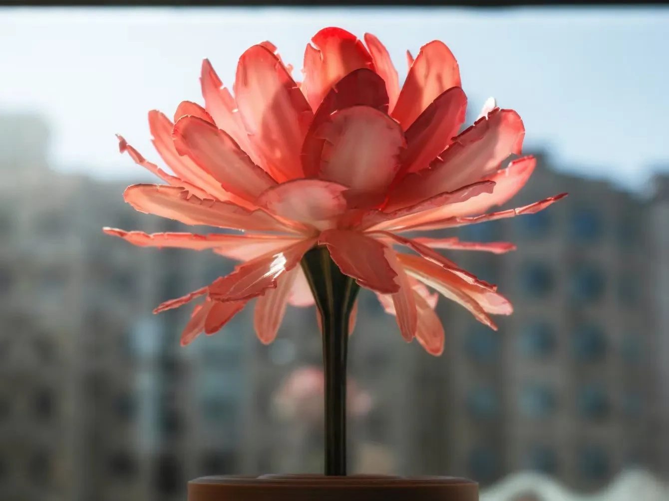 禅意永生花