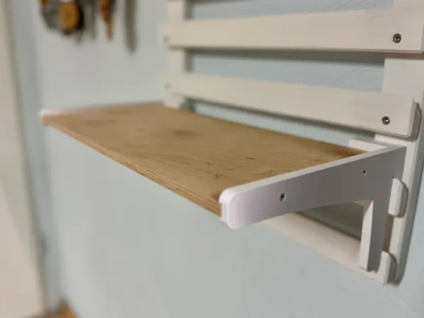 https://makerworld.bblmw.com/makerworld/model/US37af7c10909abd/design/2025-03-16_f3218a83a57ff8.jpeg