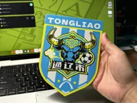 【通辽足球队队徽】展示牌