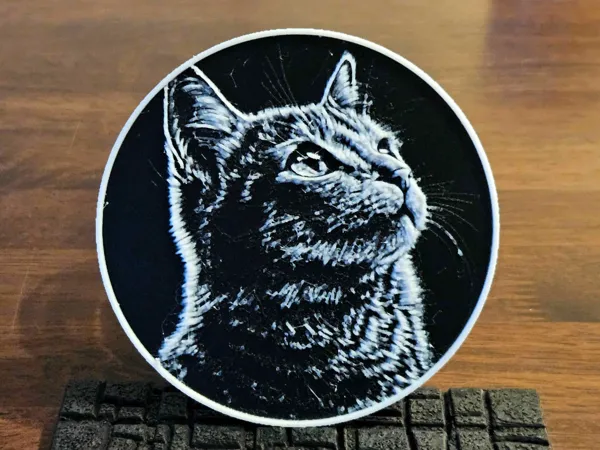 https://makerworld.bblmw.com/makerworld/model/US37b3bfd618e9cf/design/2024-12-29_5eddc7bc382db.jpg