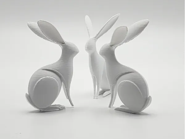 https://makerworld.bblmw.com/makerworld/model/US37bbe7fe1dab61/design/2025-02-24_9a9f4403e88758.jpg