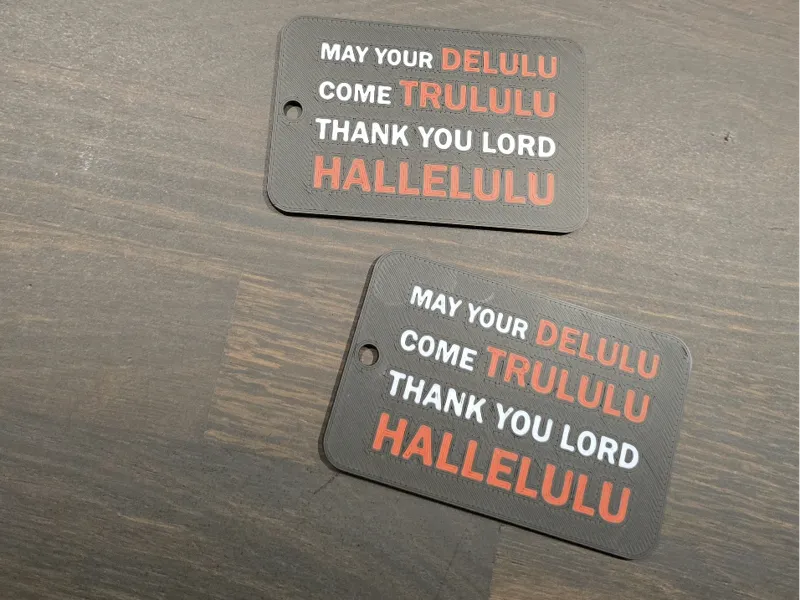 Travel Bagtag "Delulu" | Luggage Tag
