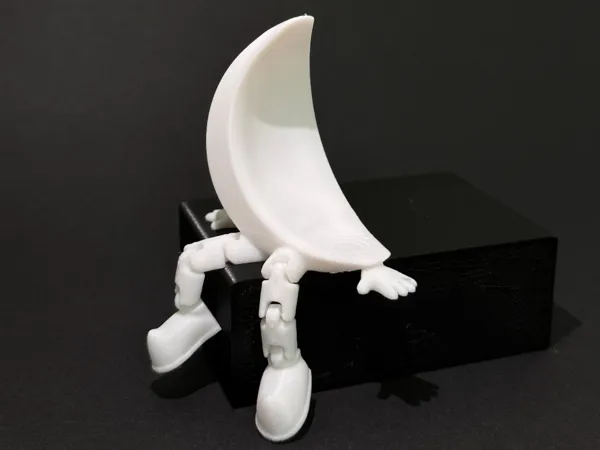 https://makerworld.bblmw.com/makerworld/model/US37c54ab94c68b1/design/2025-01-16_2e41b21415ff9.jpg