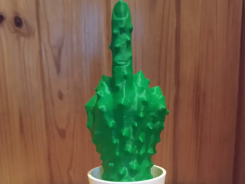 middle finger cactus