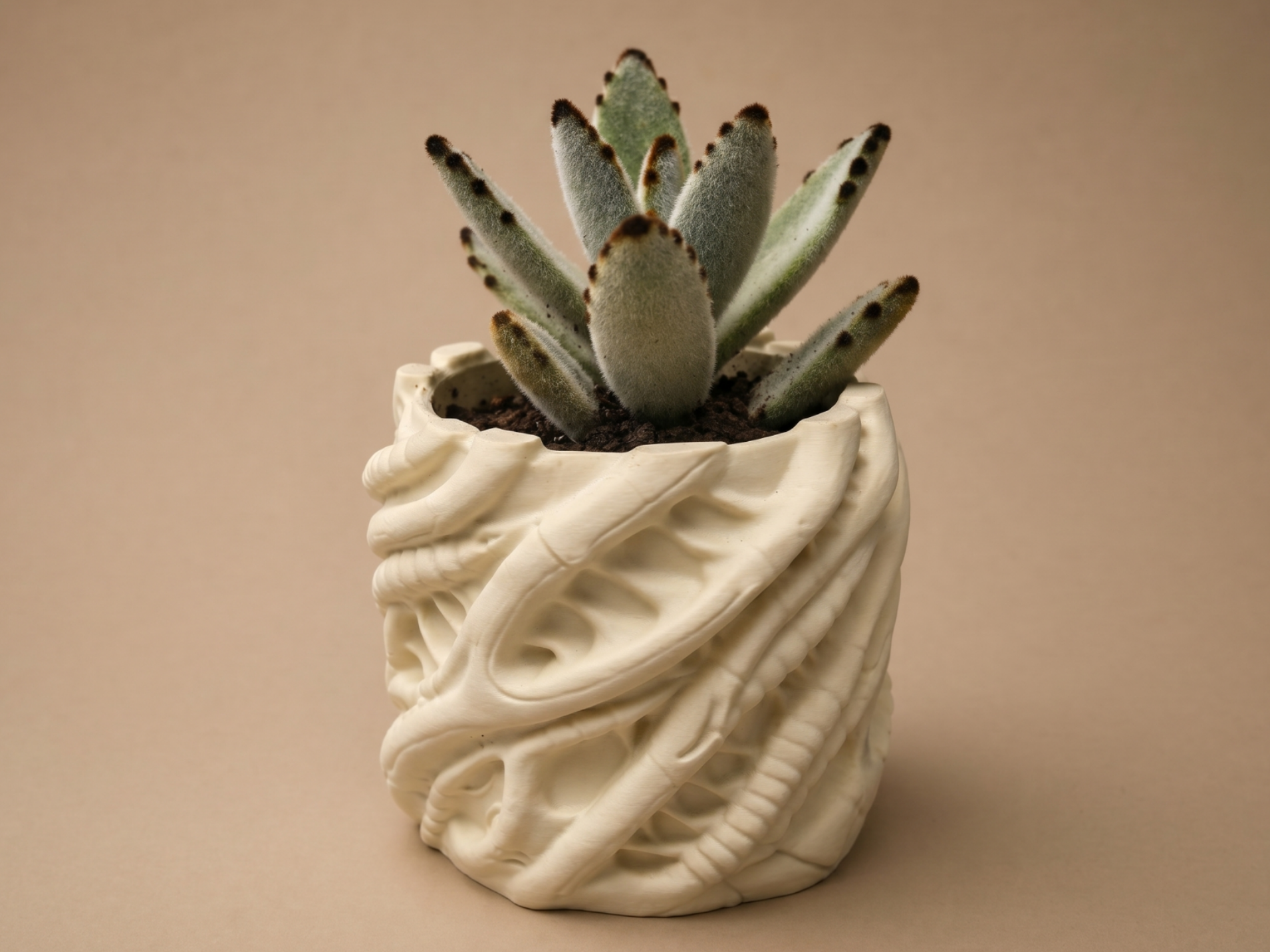 Organic Alien Pot – No Supports Easy Print