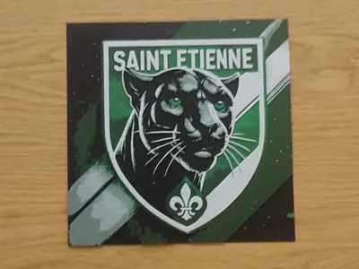 Hueforge ASSE Saint-Etienne panther