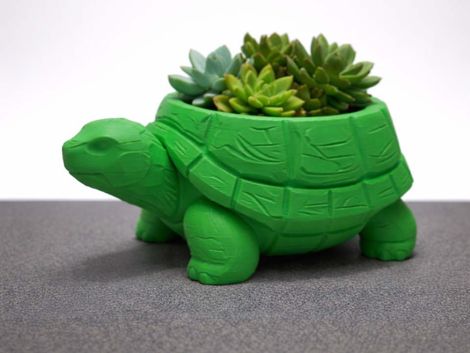Schildkroete "Gruenpanzer" als Pflanzgefaess