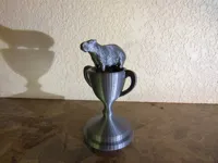 Trophée capybara — photo 1