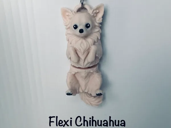 https://makerworld.bblmw.com/makerworld/model/US37d66524c8e97a/design/ad4677ca25b20495.jpg