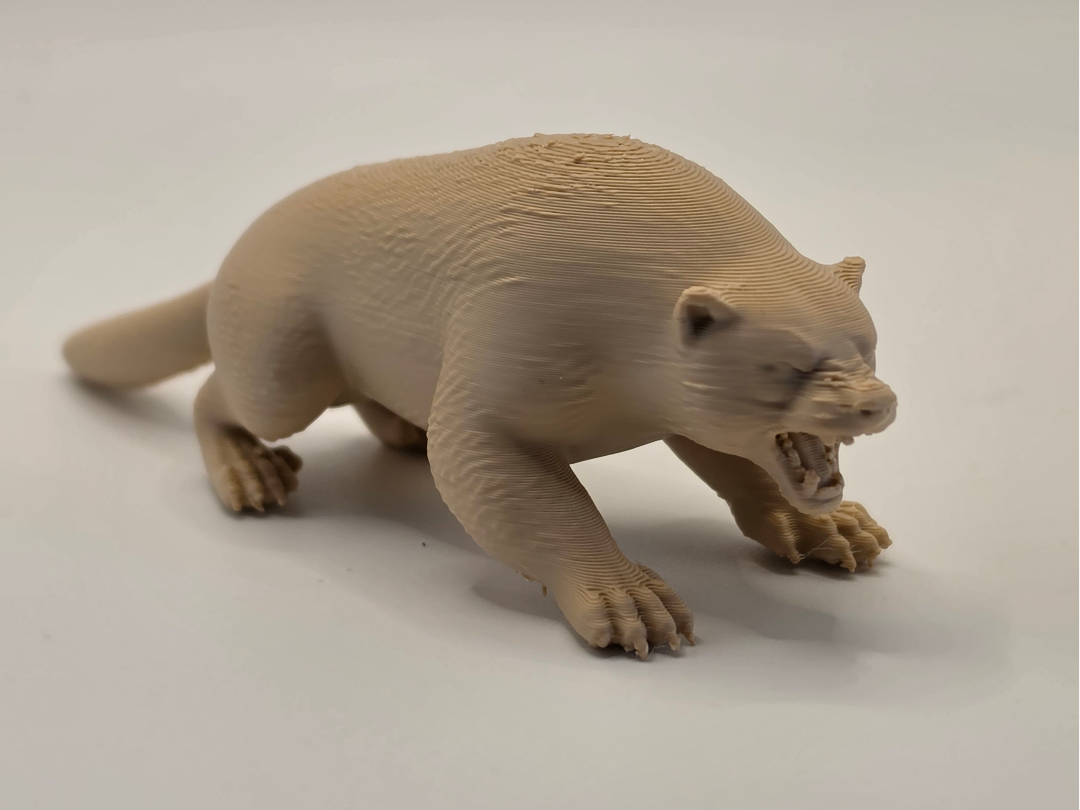 Wolverine – Aggressive Wildlife Pose