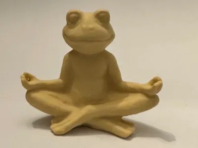 Yoga Frog
