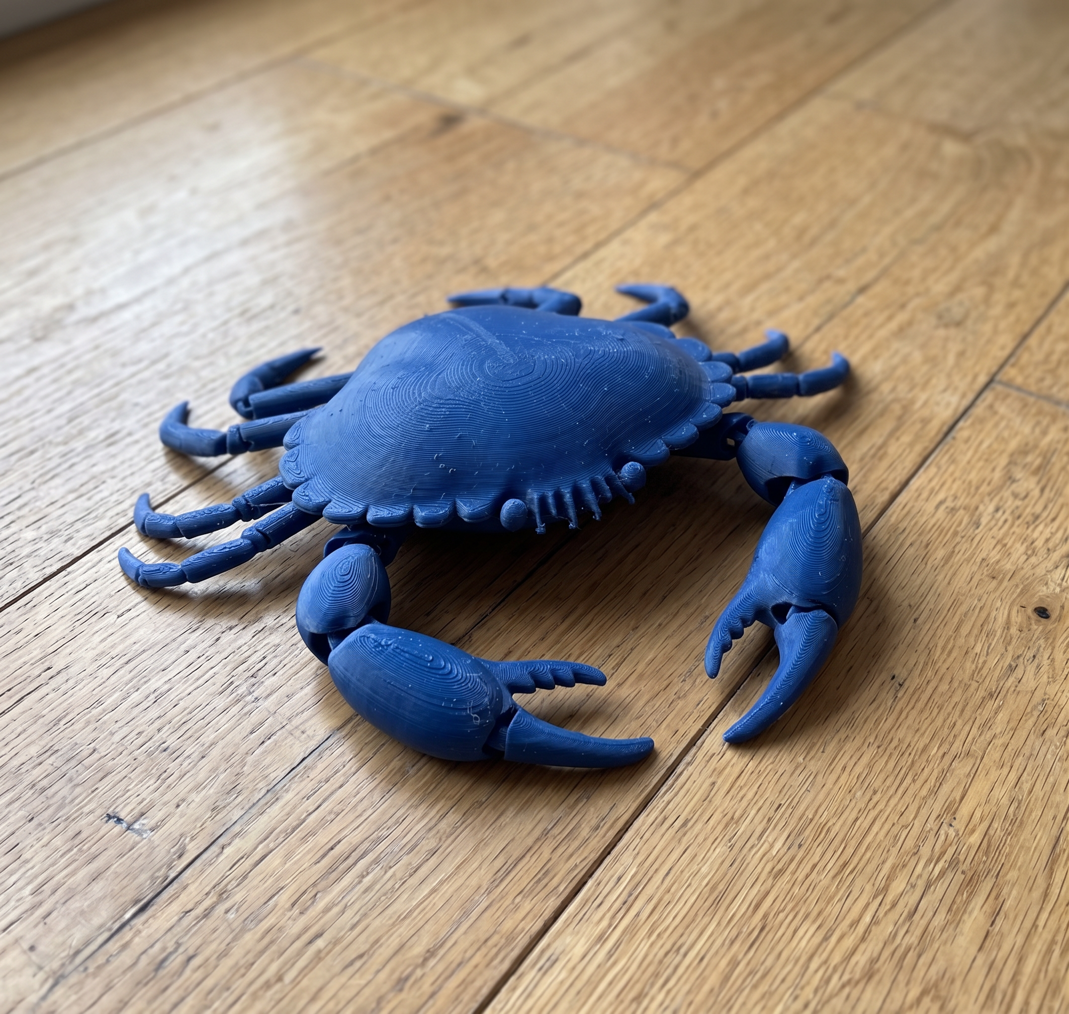 Miniatura 1 do modelo 3D Realistic Flexi Crab