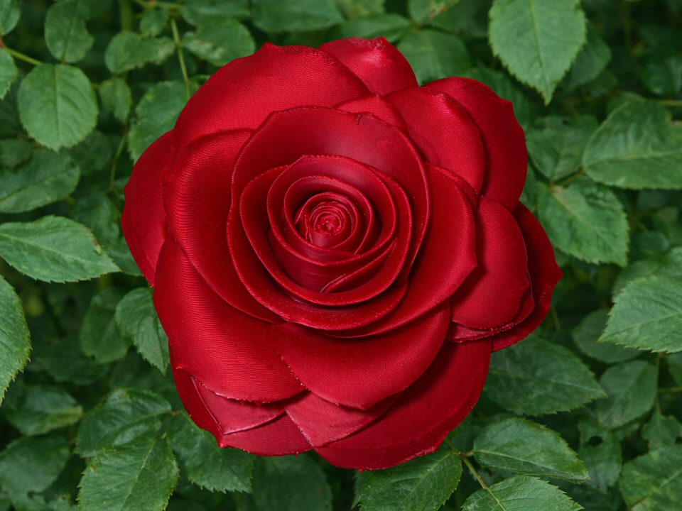 Elegant Red Rose Valentine’s Day Mother's Day 10cm