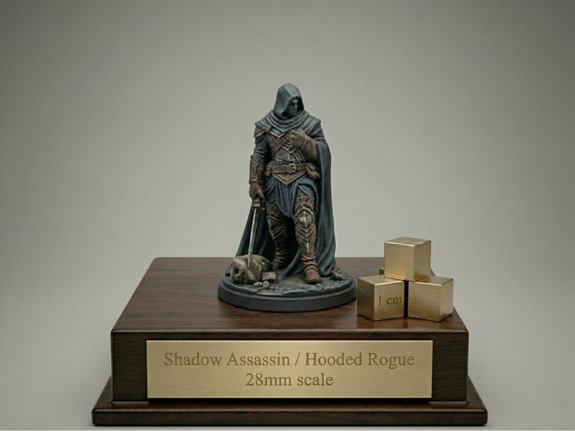 Shadow Assassin / Hooded Rogue Miniature