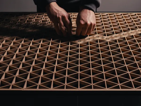 https://makerworld.bblmw.com/makerworld/model/US37e5f50cab780a/design/2025-07-17_a84c67354e03f8.png