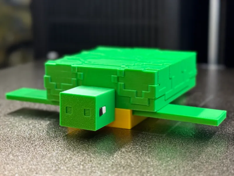 Turtle