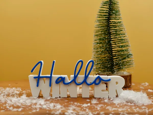 https://makerworld.bblmw.com/makerworld/model/US37f03769b2f680/design/2025-12-18_ce7004ed5fd0b8.jpg