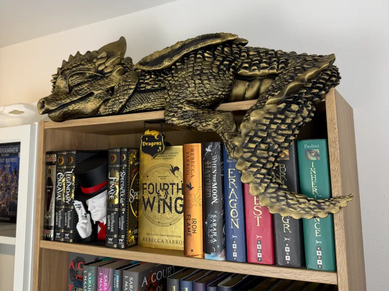 Sleeping Baby Dragon on the Shelf