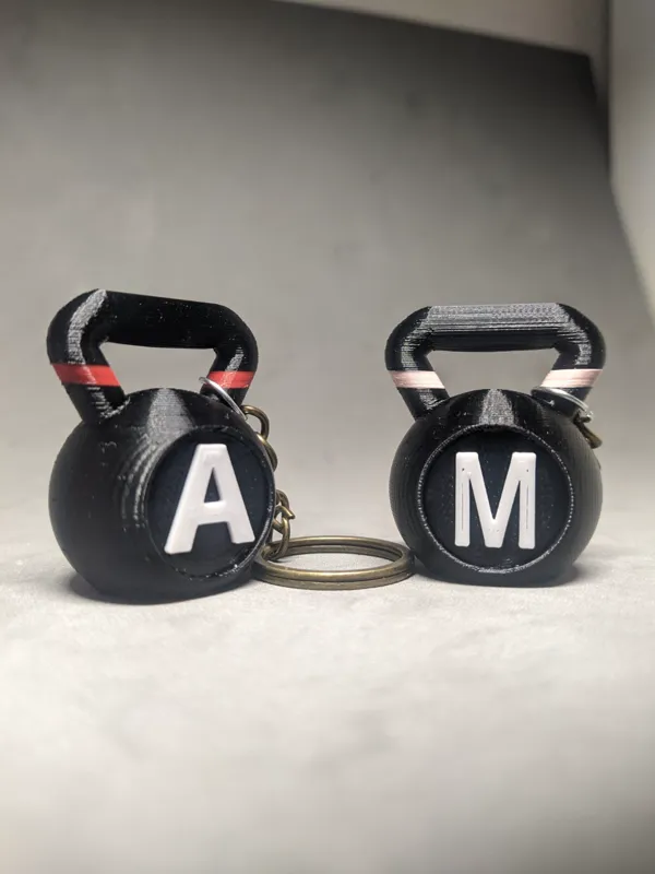 https://makerworld.bblmw.com/makerworld/model/US37f2a48e250a3b/design/2024-02-28_254fbc47ee187.jpg