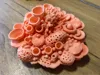 0.2mm layer, 2 walls, 5% infill