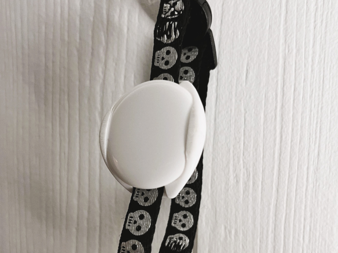 Cat collar AirTag mount