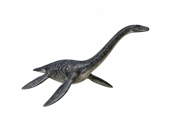 https://makerworld.bblmw.com/makerworld/model/US37f947c19be8c2/design/bfc8fb6d55ae98e8.png