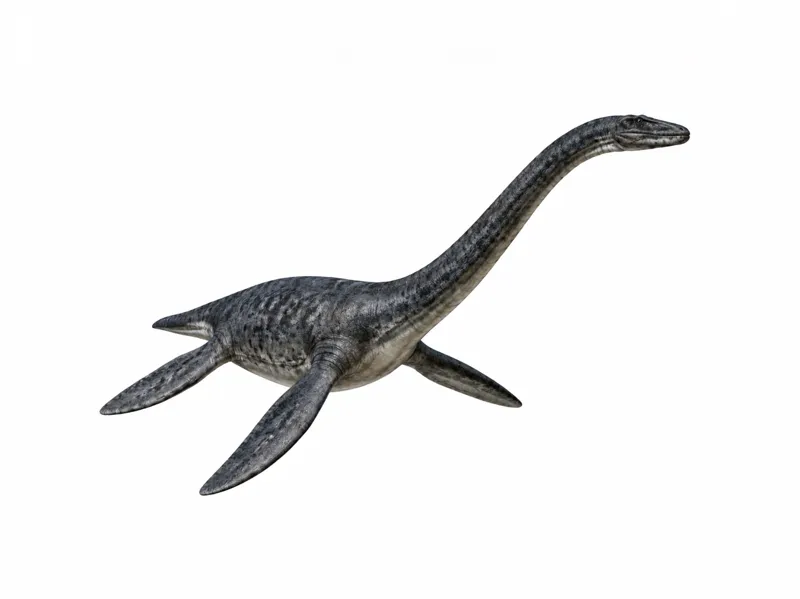 Plesiosaurus | Prehistoric Marine Reptile